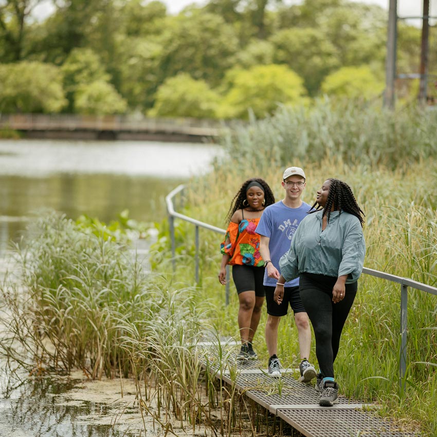 image three individuals  walking in nature