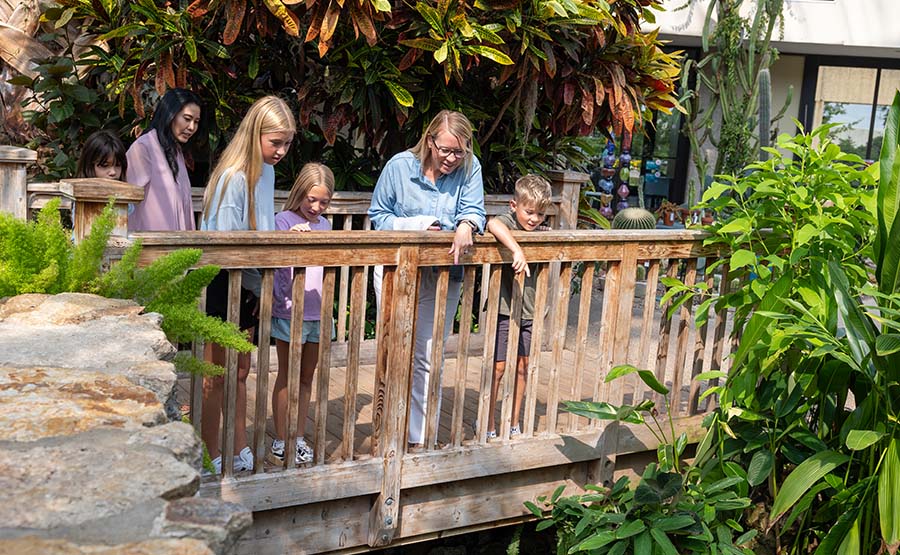 Two families looking and pointing at something below them.