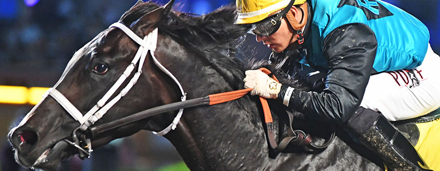 A horse racer on the back of a horse in a race