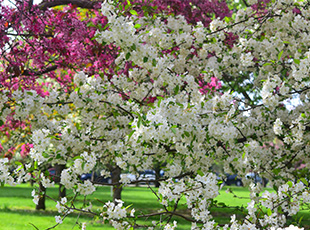 Your Spring Bucket List for Greater Des Moines