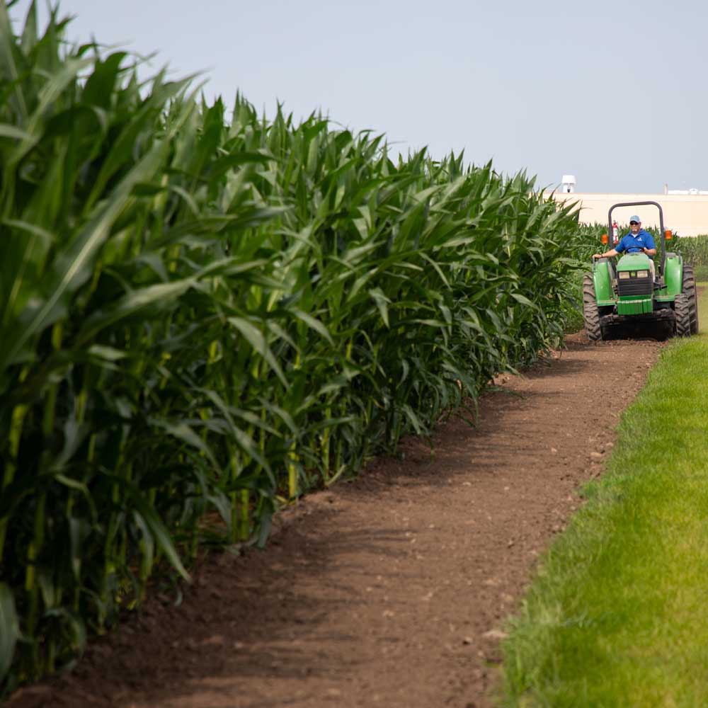 person driving tractor
