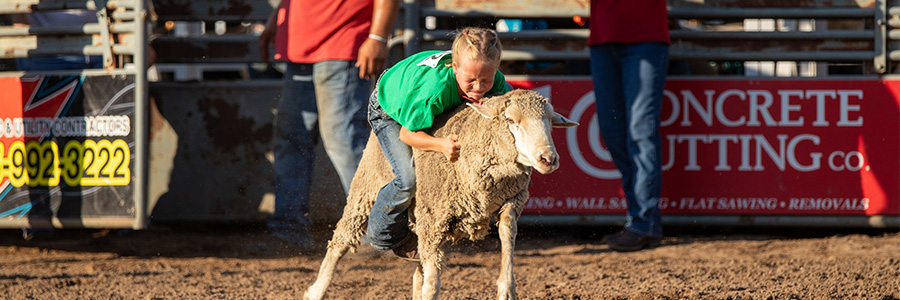 Mutton Busting at the Dallas County Fair A child riding on the back of a sheep in a dirt arena.