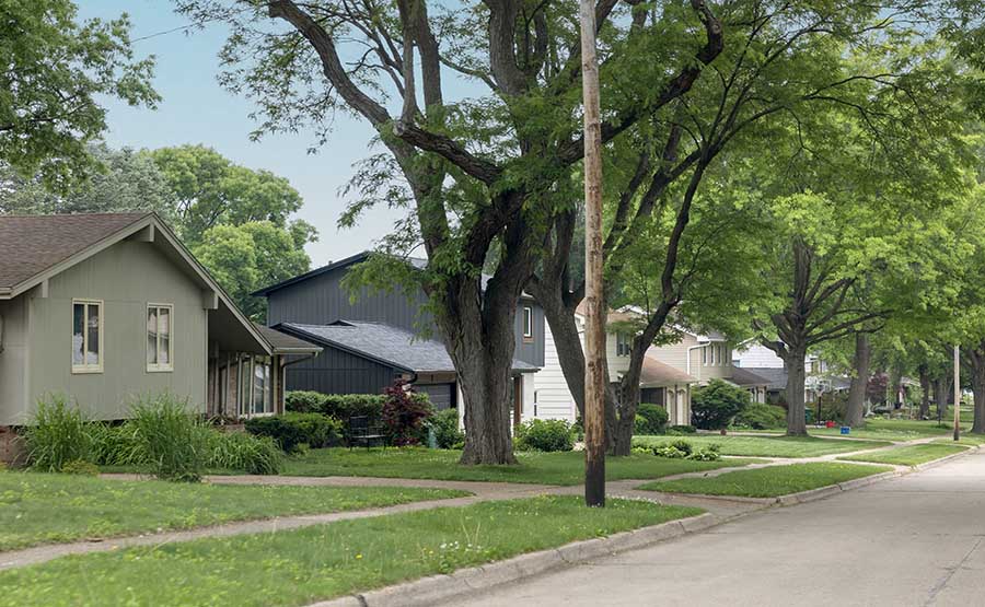 A neighborhood street with several houses.