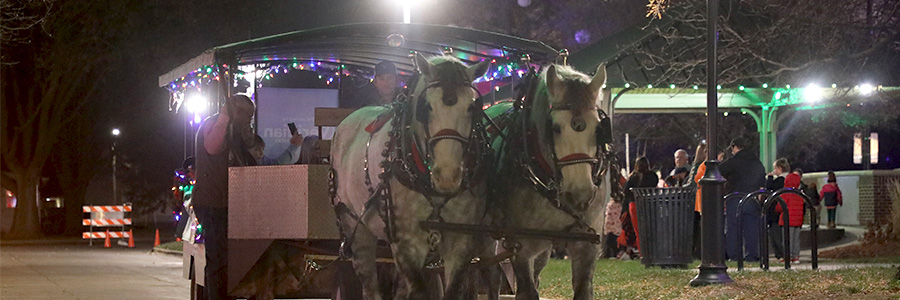 Two horses pulling a carriage of people through a town street.
