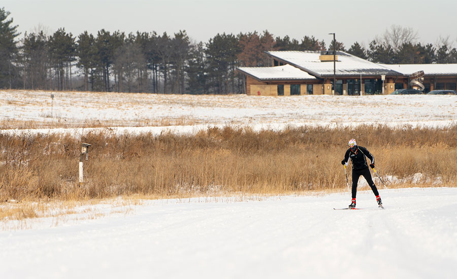 Cross country skier on a clear snowy path with trees an